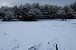 Ankara’da kar yağışı
