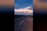 Ankara’da yaban geyiği sürüsü görüldü