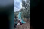 Anlık hava değişimi yamaç paraşütçülerine yaramadı