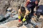 Anne kedi yavruları kurtarılana kadar ekiplerin başında bekledi