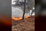 Antakya’da orman yangını