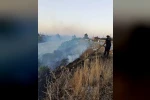 Antakya’da Asi Nehri kenarında sazlık yangını