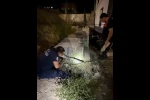 Antakya’da beton boru içinde sıkışan kedi kurtarıldı