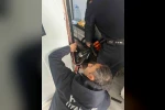 Antakya’da profil demirine sıkışan kuş kurtarıldı