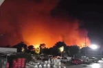 Antalya Aksu’da ormanlık alanda yangın