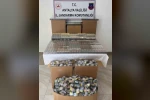 Antalya’da 1 milyon lira değerinde kaçak sigara ele geçirildi