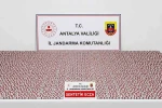 Antalya’da depoda 5 bin 865 adet uyuşturucu hap ele geçirildi