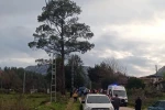 Antalya’da kamyonetin kasasından düşen kadın hayatını kaybetti