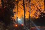 Antalya’da ormanlık alanda yangın