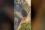 Antalya’da ormanlık alanı tehdit eden yangın
