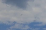 Antalya’da yıldırımın neden olduğu orman yangını kontrol altına alındı