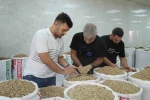 Antep fıstığına ithalat izni çıkıcınca fiyatlar ve satışlar düştü