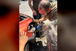 Araç tamponuna sıkışan yavru köpeği veteriner hekimler kurtardı