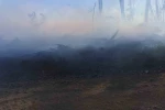 Araç yangını ormanlık alana sıçradı, ekipler alevleri büyümeden söndürdü