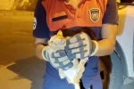 Aracın motor kısmına giren yavru kediyi itfaiye ekipleri kurtardı