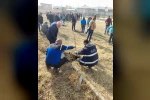 Aras EDAŞ, Milli Ağaçlandırma Günü’nde geleceğe nefes oldu