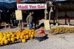 "Araştırmacı kavuncu dede" ata tohumlarını geleceğe taşıyor