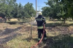 Arazi yangınları büyümeden söndürüldü