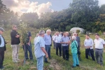 Arıcılar ve akademisyenler kestane balının geleceğini konuştu