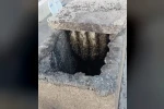 Arılar binanın bacasında oğul verdi