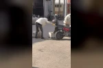 Arılar motosiklette oğul verdi
