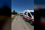 Arının neden olduğu kazada 1 kişi hayatını kaybetti, 4 kişi yaralandı