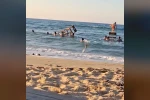 Arnavutköy’de cankurtaran kulesini yerinden söküp kendilerine atlama platformu yaptılar
