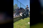 Arnavutköy’de çocuklar arasındaki kavga kamerada: acımasızca saldırdılar