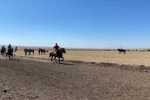 Arpaçay’da 4. Geleneksel Rahvan At Yarışları yapıldı