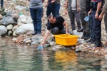Artvin’de 30 bin kırmızı benekli alabalık yavrusu derelerle buluştu