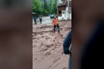 Artvin’de sağanak sonrası dereler taştı