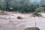 Artvin’de sağanak yağış sele neden oldu