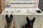 Artvin’de uyuşturucu operasyonu