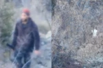 Artvin’de yasa dışı avcılığa geçit yok