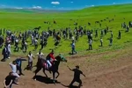 Asırlık at yarışında tepki toplayan anlar