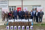Aslanapa’da 13 kadın çiftçiye yüzde 75 hibeli 7 bin adet ahududu fidanı dağıtıldı