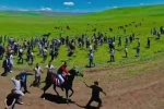 At yarışındaki görüntüler harekete geçirdi: Ata uygunsuz müdahaleye soruşturma