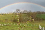Atakum’da En Güzel Bahçe Yarışması için süre uzatıldı