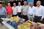 Avşar Üzümü coğrafi işaretle tescillendi