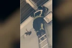 Ayağı ipe dolanan güvercin, itfaiyenin müdahalesiyle kurtuldu