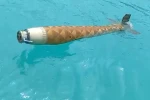 Ayancık açıklarında şüpheli cisim bulundu