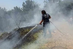 Aydın Büyükşehir İtfaiyesi 8 günde 445 yangına müdahale etti