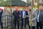 Aydın dağları sağlıklı kestane ağaçlarıyla donatılıyor