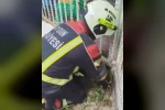 Aydın itfaiyesinden kirpi operasyonu