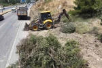 Aydın Orman İşletme’den yangınlara karşı yol kenarı temizliği
