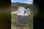 Aydın ormanlarında çam kese böceğine karşı kapsamlı mücadele 