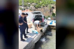 Aydın’da 60 kilo canlı yengeç ele geçirildi