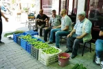 Aydın’da ilek pazarında fiyatlar her saat değişiyor