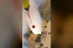 Aydın’da makilik alanda yangın 