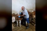 Aydıntepe’de sonbahar şap aşılama kampanyasında sona gelindi